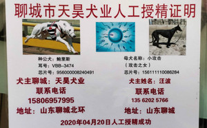 鲍里斯X小攻击 156111110086284，NGQX 611A.jpg