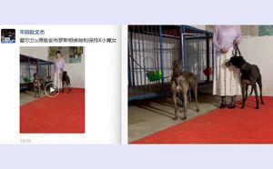 巴利马克·安布罗斯X哈利美女 900168021053499.jpg