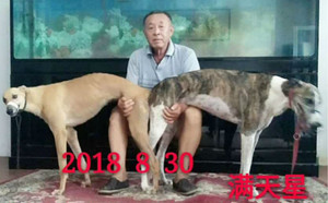 卡酷贝尔X满天星 156111110029445.jpg