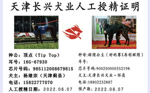 顶点X辉煌公主 900250000352198.jpg