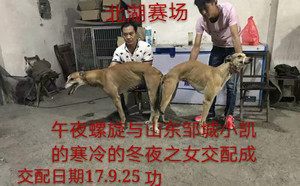 午夜螺旋X小米 900115000680419.jpg