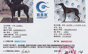 计划X计划 Scheme，956000008824778.jpg