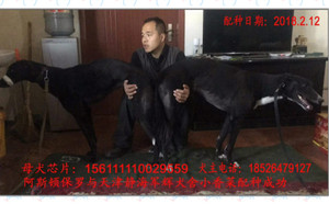 阿斯顿保罗X小香菜156111110029559.jpg