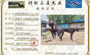 奇怪的男孩X大妞子 941000016715150.jpg