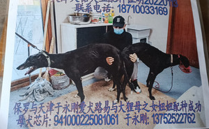 阿斯顿保罗X妞妞941000225081061.jpg