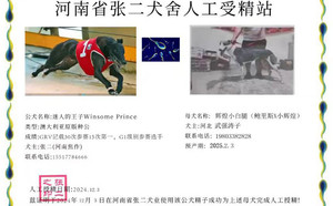 迷人的王子X辉煌小白腿 NGXH 717M，900115000929373.jpg