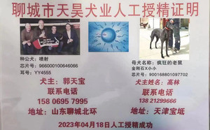 喷射X疯狂的老鼠 900168801097702.jpg