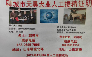喷射X幻觉007 992001000453007.jpg