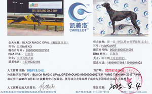 魔法蛋白石X留一朵 900219000721059，HJWCAWT.jpg