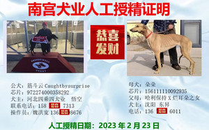 筋斗云X新民东升的朵朵156111110092935（2023年2月23日配）.jpg