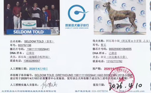 嘉里X阿瓦塔小姐 900255001084655.jpg