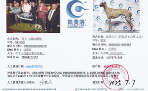 黑王X瓦塔公主988000001880385.jpg