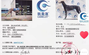 阿瓦塔X十二万 941000225081212.jpg