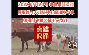 魔法枪X花无缺 994083000000044.jpg