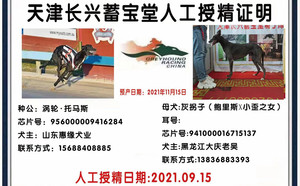 涡轮·托马斯X灰拐子 941000016715137.jpg