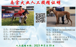法汉X黄保罗 941000225081146，BLDZ2.jpg