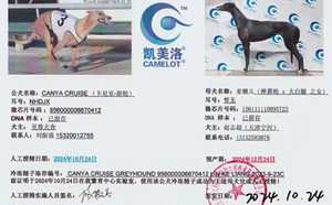 卡尼亚游轮X麦穗儿 156111110095723.jpg