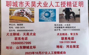 鲍里斯X小花式 156111110068065.jpg