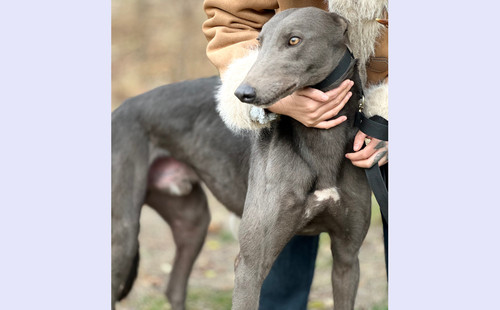 蓝喷射 900263004632393，0123K