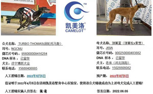 涡轮托马斯X弹簧蛋 J69A，900250000483882.jpg