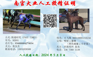 快速时代X小飞燕 900128001216256，S553279PS.jpg