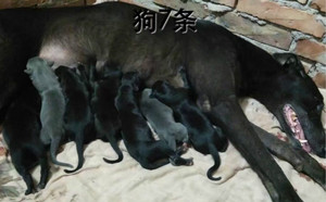 完美花式X迷人的缘156111110029411.jpg