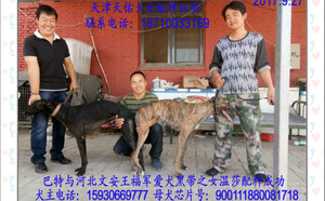 温莎 900005761104664，900111880081718.jpg