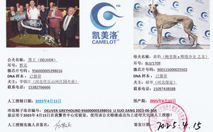 黑王X黄豹 900115000025502，BLS1709.jpg