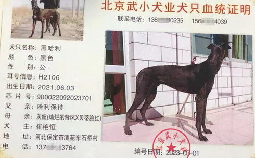 黑哈利 900022092023701，H2106