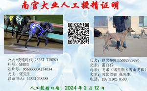 快速时代X邯郸张志江的狸母900115002829686（2024年2月12日配）.jpg