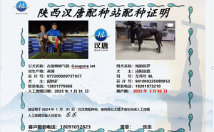 古加纳喷气机X纯的保罗 941000225080952.jpg