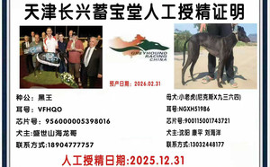 黑王X小老虎 900115001743721.jpg
