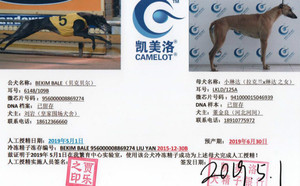 贝克贝尔X小琳达 941000015046939，LKLD 152A.jpg