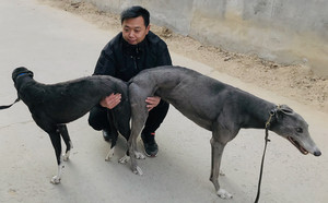 青诺里斯X幻影再现 900128001212870.jpg