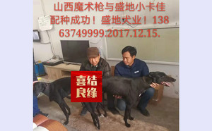 魔法枪X盛地卡佳 900215001894571.jpg