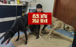 路易X乐乐 900100000041984，NLSZ1603.jpg