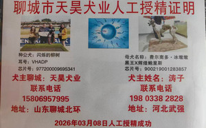 闪烁的柳树X费尔南多·冰墩墩 900219001283857.jpg