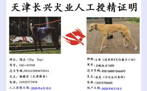 顶点X大黄 900168801066693，NLAL1605.jpg