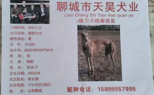 喷射公主 900215010479419，0102K