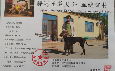黑游轮 990000007170483，KNYYL