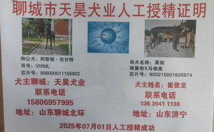 阿斯顿吉甘特X黑妮 900215001626874，J611C.jpg