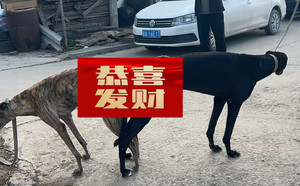 迷人王X大点儿 900115001743657，NGXH720M23.jpg
