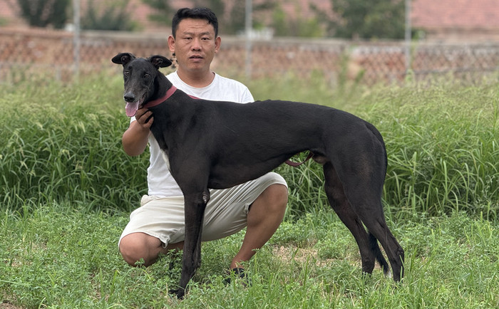 战狼 900219000991111