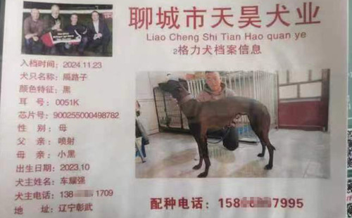 隔路子 900255000498782，0051K
