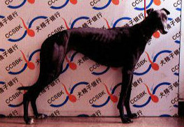 七零二 900111880089702