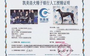 杜克X玫瑰 900215000617625 .jpg