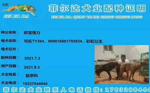 欧宝怪力X可乐 TY384，900018881702834.jpg