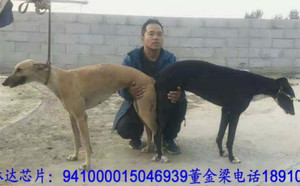 阿斯顿保罗X小琳达 941000015046939.jpg