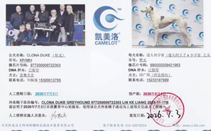 杜克X迷人的宇宙 990000009421963.jpg