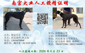威尔帝X阿斯顿白雪 900023069708749，T716Y.jpg